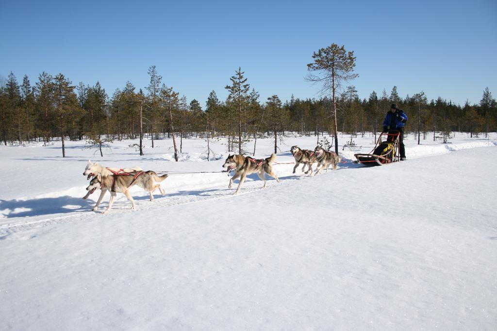 Loma-Vietonen Holiday Village Meltosjarvi Ngoại thất bức ảnh