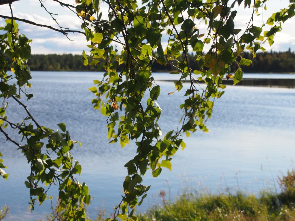 Loma-Vietonen Holiday Village Meltosjarvi Ngoại thất bức ảnh